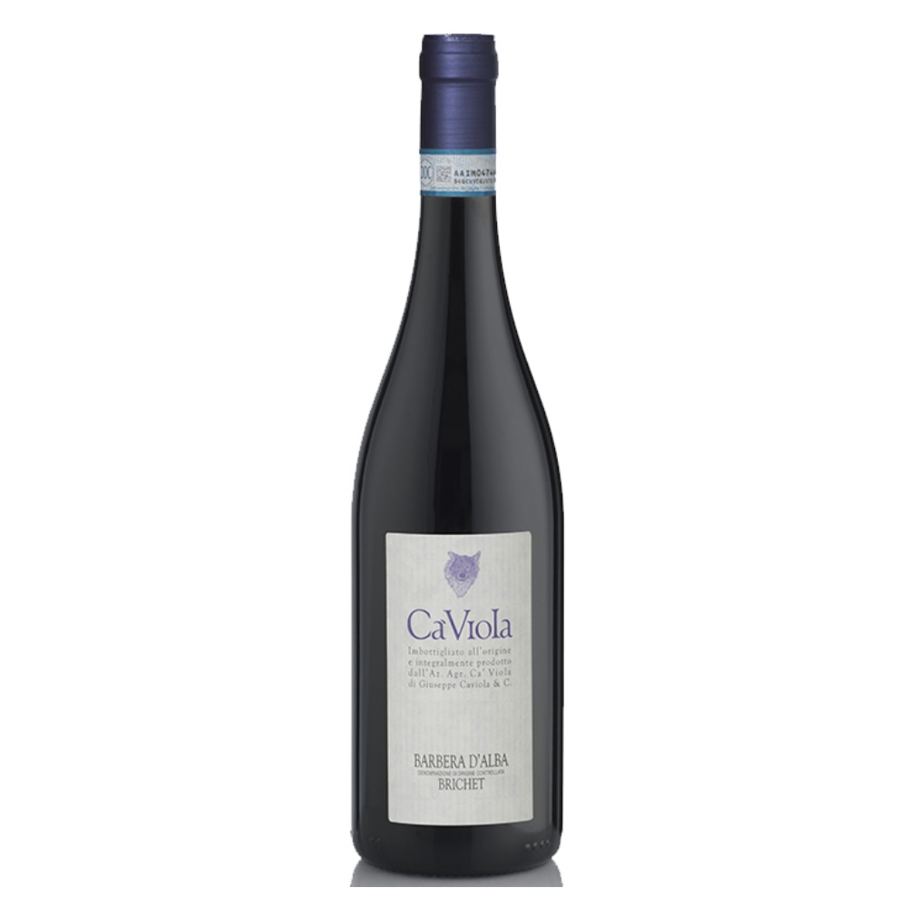 Barbera d’Alba Magnum “Brichet” Ca’Viola