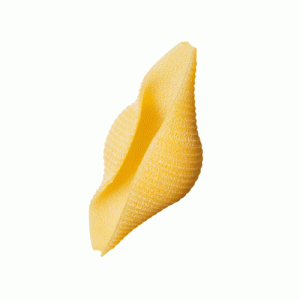 Conchiglioni ” Matt”  Monograno Felicetti