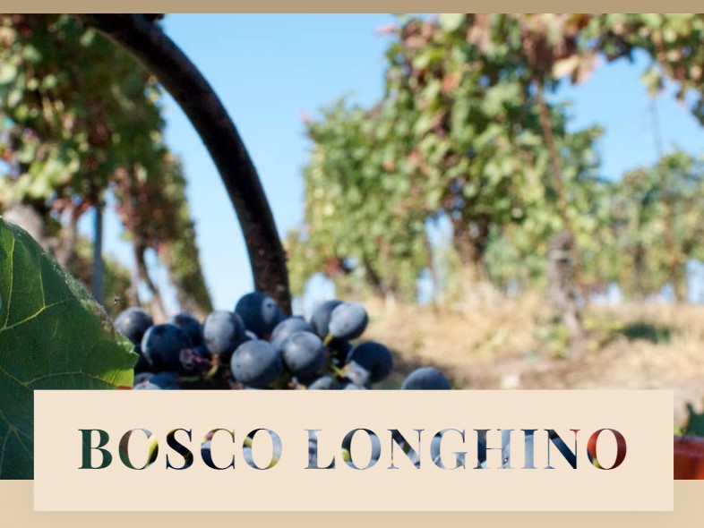 Chardonnay IGT PV “353”- Bosco Longhino - immagine 7