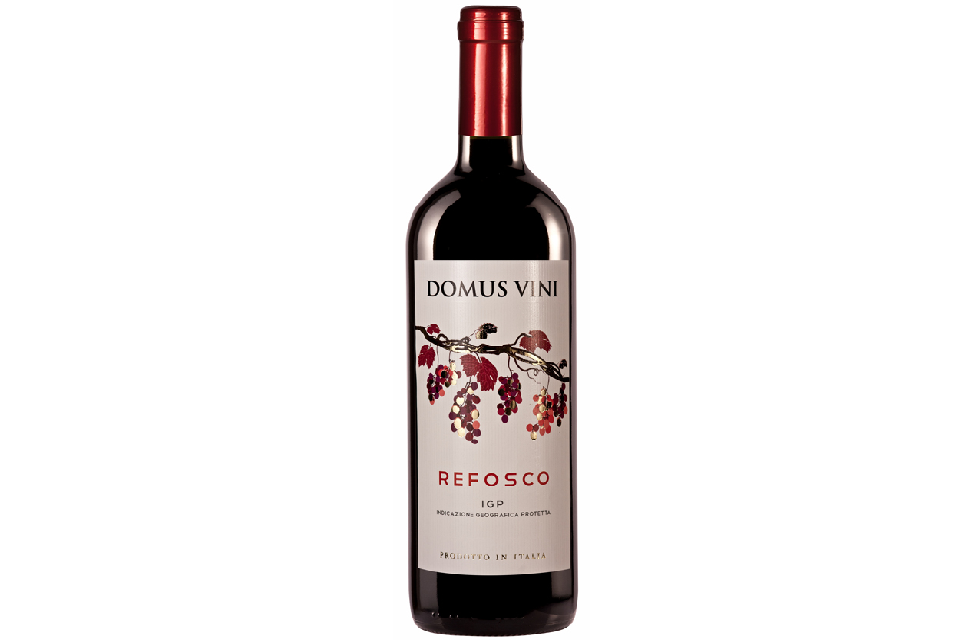 Refosco IGP – Domus Vini - immagine 2